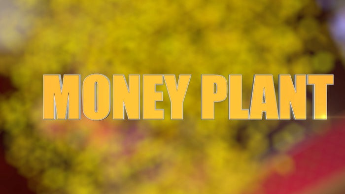 Guru Aur Bhole Episode No.115 on JioTV