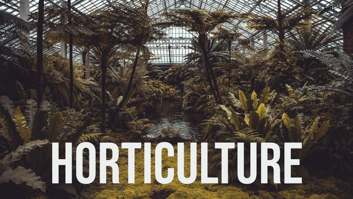 Horticulture on JioTV