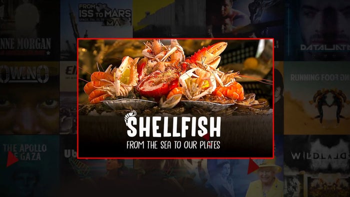 Shellfish: From The Sea To Our Plates on JioTV