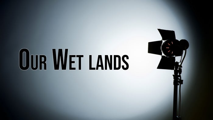 Our Wet lands on JioTV