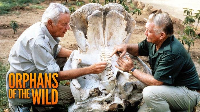 Orphans of the Wild Episode No.2 on JioTV