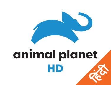 Our New World Episode No.2 on JioTV