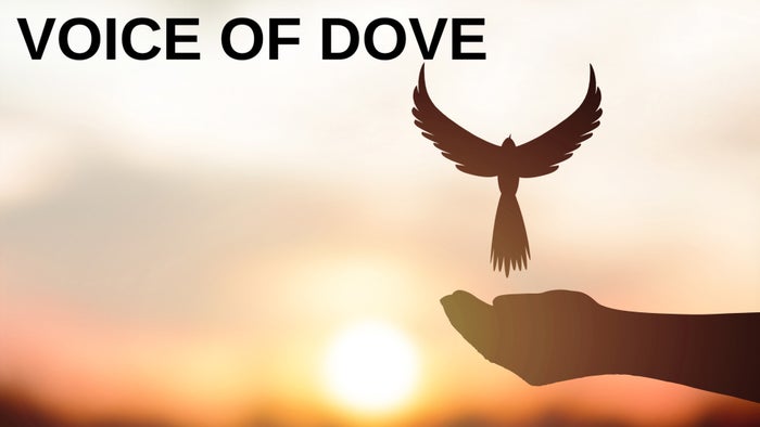 Voice of Dove on JioTV