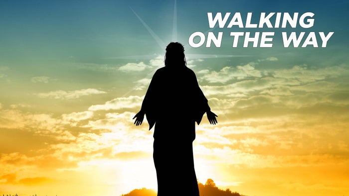 Walking On The Way on JioTV