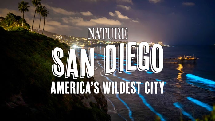 San Diego: America's Wildest City on JioTV