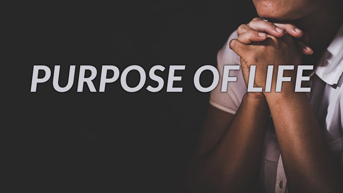 Purpose of Life on JioTV