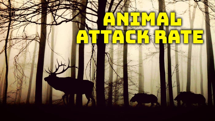 Animal Attack Rate Episode No.1 on JioTV