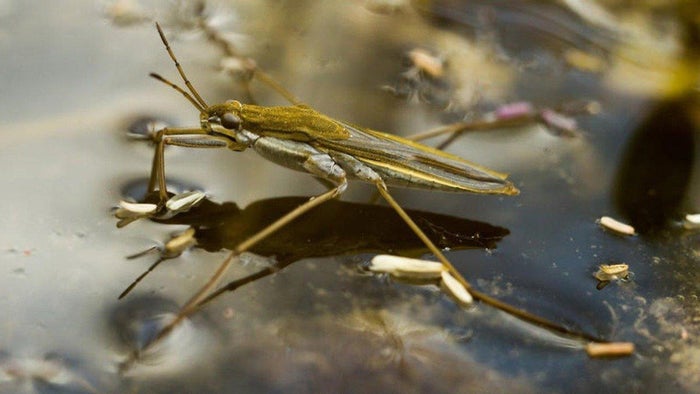 Super Senses: Special Forces Episode No.1 on JioTV