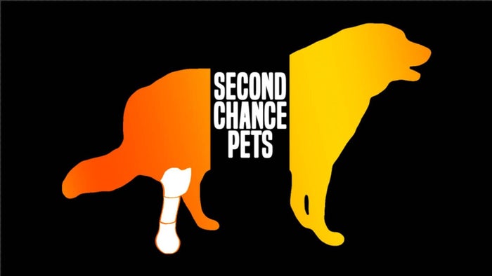 Second Chance Pets Episode No.7 on JioTV