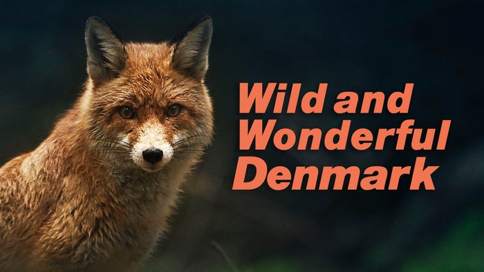 Wild and Wonderful Denmark Episode No.1 on JioTV