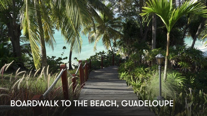 Boardwalk to the Beach: Guadeloupe on JioTV
