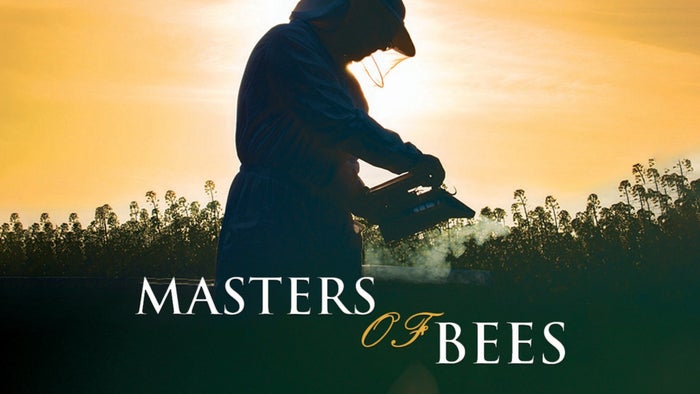 Masters of Bees on JioTV