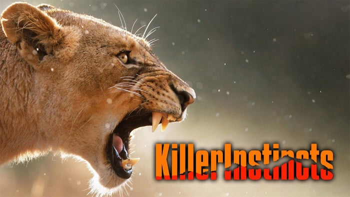 Killer Instincts on JioTV