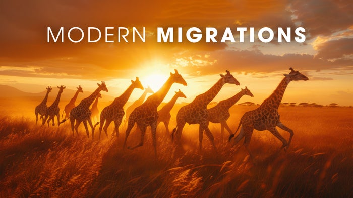 Modern Migrations Episode No.2 on JioTV