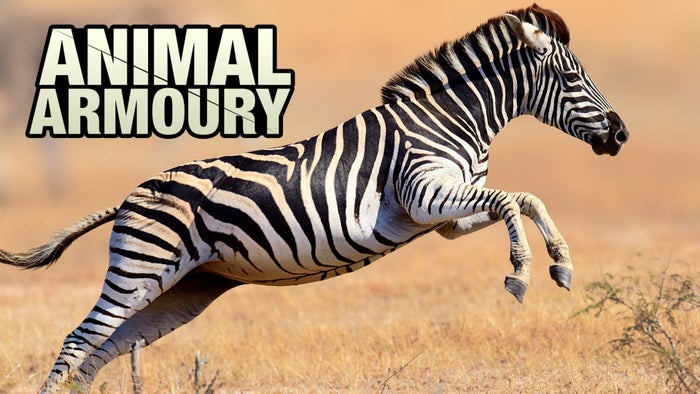 Animal Armoury Episode No.2 on JioTV