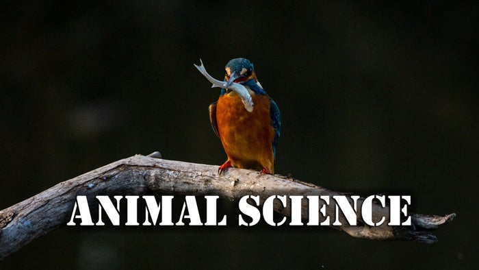 Animal Science Episode No.5 on JioTV