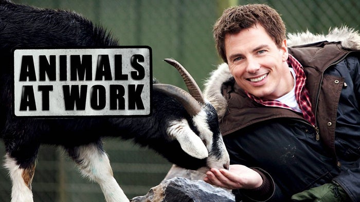 Animals at Work Episode No.5 on JioTV
