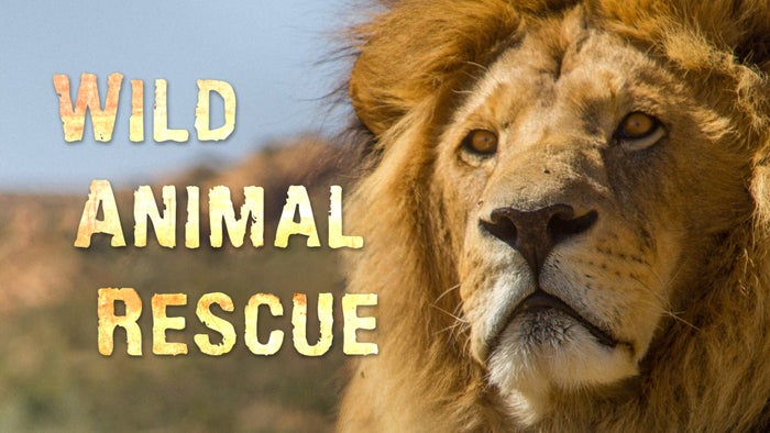 Wild Animal Rescue Episode No.3 on JioTV