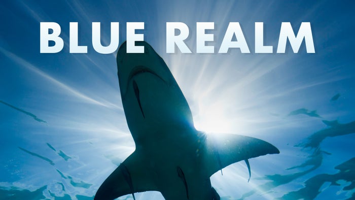 Blue Realm Episode No.3 on JioTV