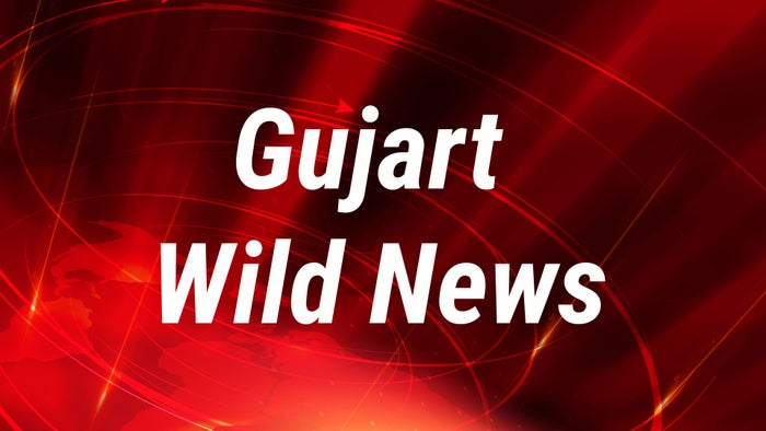 Gujarat Wild News on JioTV