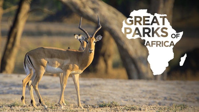 Great Parks of Africa Episode No.4 on JioTV