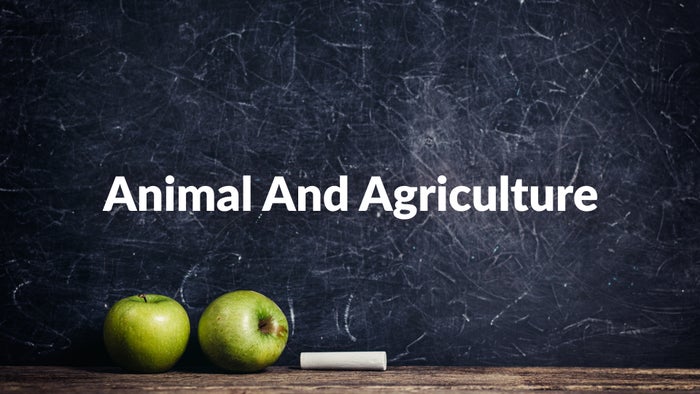 Animal And Agriculture on JioTV
