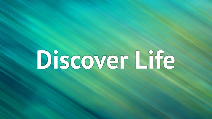 Discover Life on JioTV