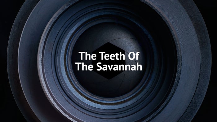 The Teeth of the Savannah on JioTV