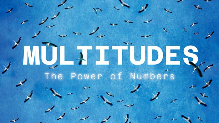 Multitudes: The Power of Numbers on JioTV