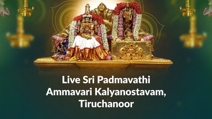 Live Sri Padmavathi Ammavari Kalyanostavam, Tiruchanoor on JioTV