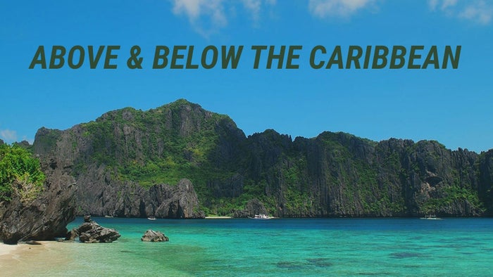 Above & Below the Caribbean on JioTV