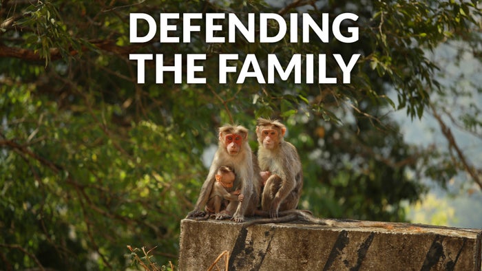 Defending the Family on JioTV