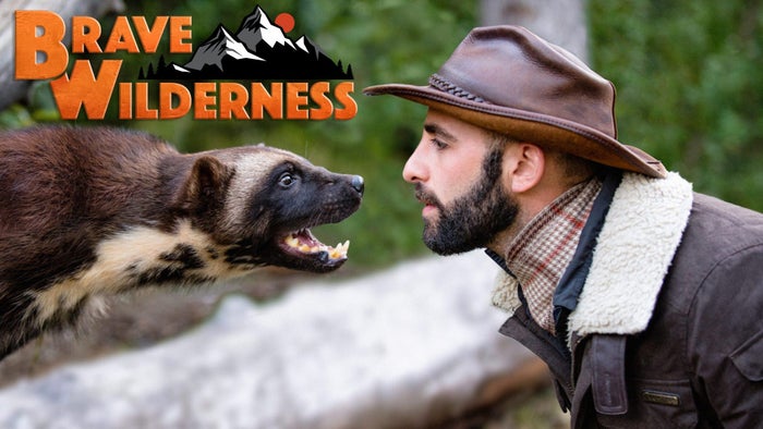 Epic Animal Encounters Episode No.6 on JioTV