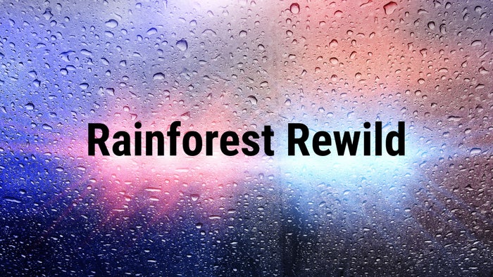 Rainforest Rewild Episode No.2 on JioTV