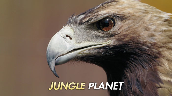 Jungle Planet Episode No.18 on JioTV