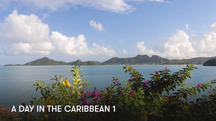 A Day in the Caribbean on JioTV
