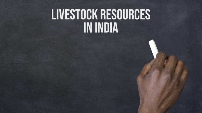 Livestock Resources in India on JioTV