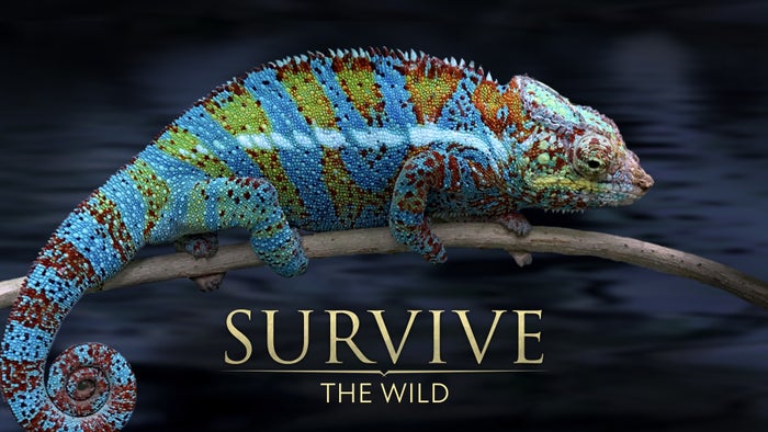 Survive the Wild Episode No.1 on JioTV