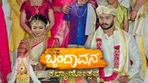 Brindavana on Colors Kannada HD