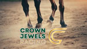 Crown Jewels Racing Series 2024 HLs on Sony Ten 1