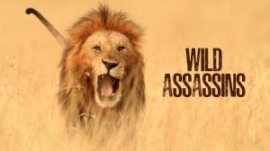 Wild Assassins Episode 1 on Animal Planet English