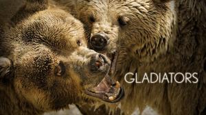 Gladiators Episode 6 on Animal Planet English