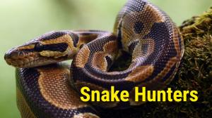 Snake Hunters Episode 4 on Animal Planet English