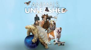 Animals Unleashed Episode 59 on Animal Planet English