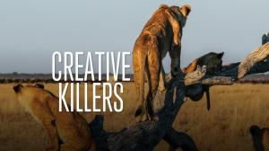 Creative Killers Episode 2 on Animal Planet English