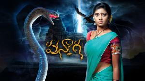 Punnaga Episode 349 on Zee Telugu
