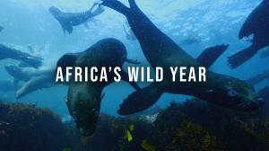 Africa's Wild Year Episode 4 on Animal Planet English