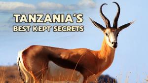 Tanzania's Best Kept Secret Episode 2 on Animal Planet English