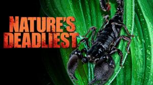 Nature's Deadliest Episode 4 on Animal Planet English