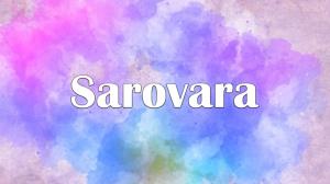 Sarovara on Colors Kannada Cinema